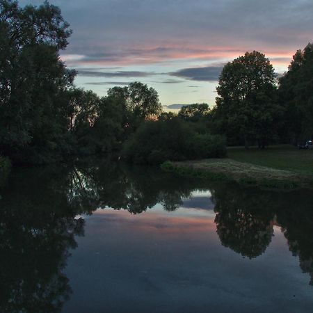 Froschkoenig Mit Teichblick Lejlighed Trendelburg Eksteriør billede